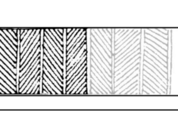 Madhubani Borders cover