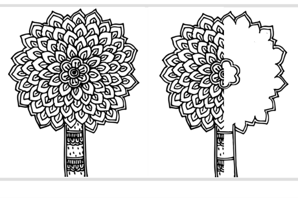 Madhubani Motifs cover