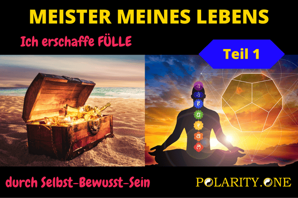 MEISTER MEINES LEBENS (Deutsch) cover