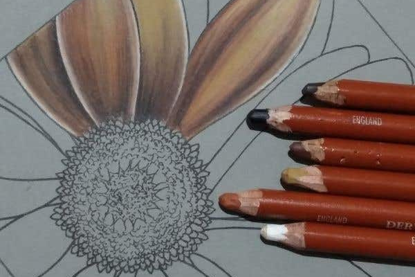 Replay - Floral Illustration using Ink and Colored Pencils cover