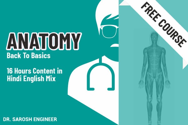 Anatomy Back to Basics Free Course cover