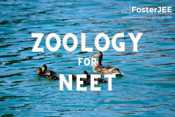 NEET Zoology cover