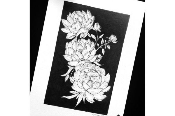 Botanical Art Workshop - Draw Peonies cover