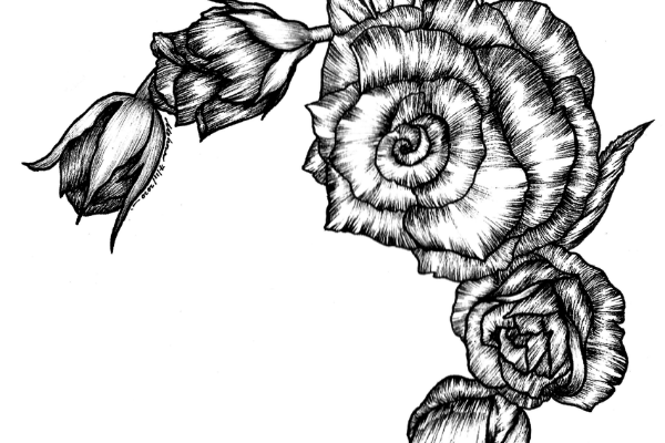 Replay - Floral Ink Illustration 101 cover