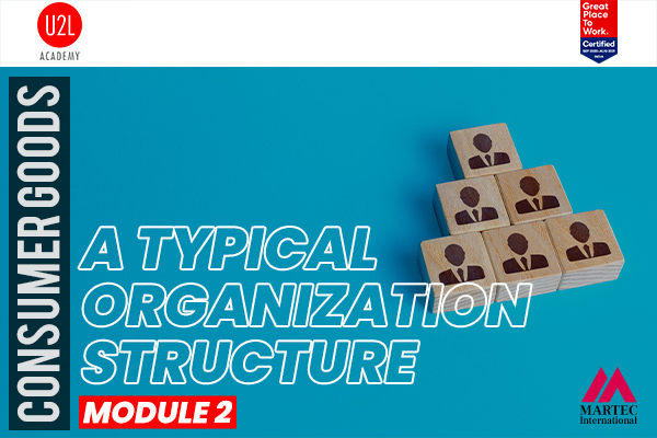 A Typical Organization Structure cover