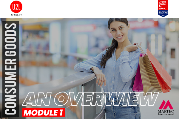 An Overview of Consumer Goods on Retail cover