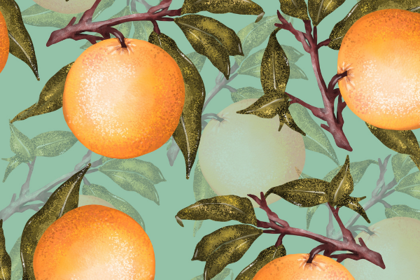 Replay - Food Illustrations drawing on Procreate cover