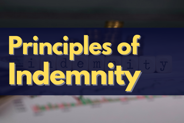 Principles of Indemnity cover
