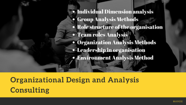 Organizational Design and Analysis Consulting cover