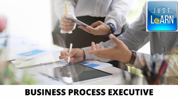 Business Process Executive J&K cover
