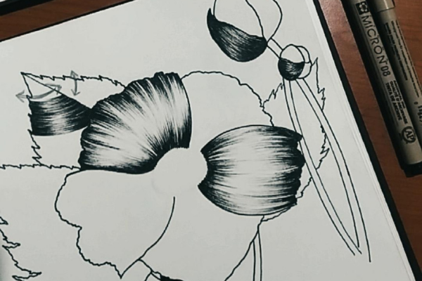 Replay - Vibrant Sunflower Illustration 101 cover