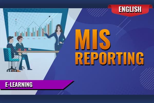 MIS Reporting - E-Learning cover