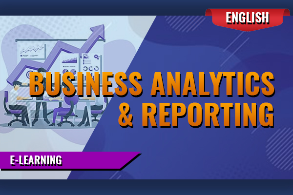 Business Analytics & Reporting - E-Learning cover