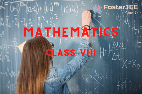 Mathematics Class VIII cover