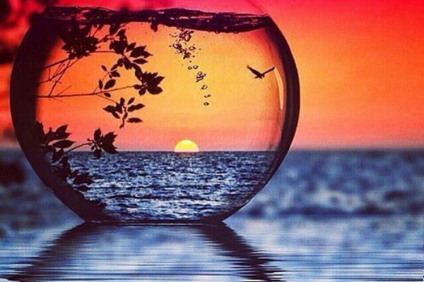 Replay - Introduction to Oil Pastels cover