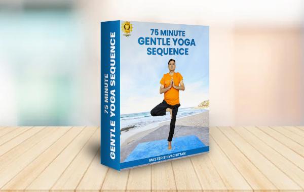 75 MINUTE GENTLE YOGA SEQUENCE cover