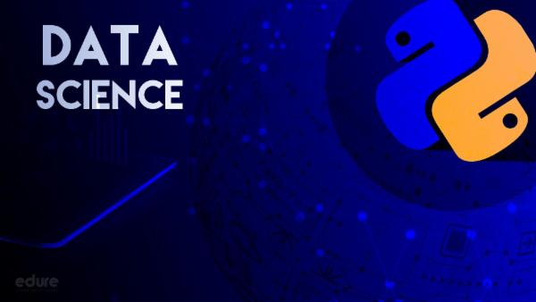 Data Science Version 1.0 cover