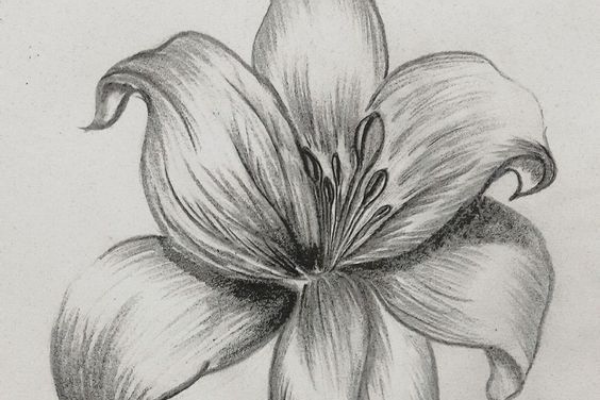 Replay - Learn to make a Photorealistic Flower cover