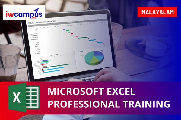 Microsoft Excel Professional -Training cover
