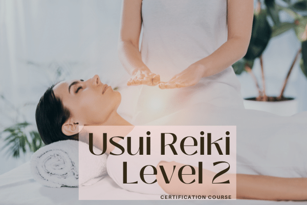 Reiki Level 2 cover