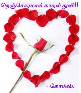 நெஞ்சோரமாய் காதல் துளி!! cover