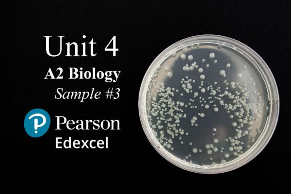 Sample 3 UNIT 4 - A2 Biology EDEXCEL cover