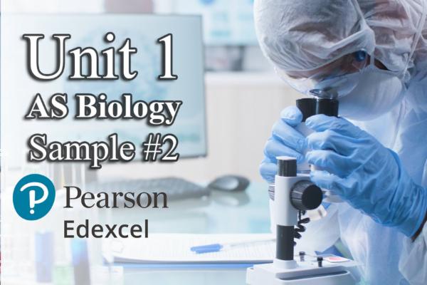 Sample 2 UNIT 1 - AS Biology EDEXCEL cover