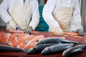 Assessment for Fish and Sea Food Processing cover