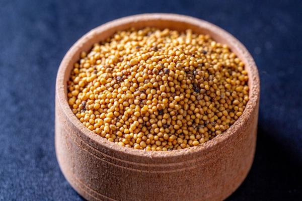 Mustard Cultivation / सरसों की खेती cover