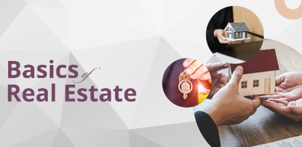Basics Of Real Estate cover