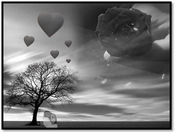 கலைந்து போகும் கனவுகள் cover