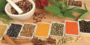 Spice Processing Technician (Hindi eBook) cover