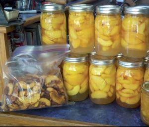 Food Products Packaging Technician (Hindi eBook) cover