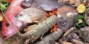 Fish and Sea Food Processing Technician (Hindi eBook) cover