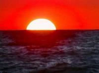 அக்கினி பழத்தில் அரைத்த ஆரல் cover