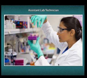 Assistant Lab Technician - Food and Agricultural Commodities (Hindi eBook) cover