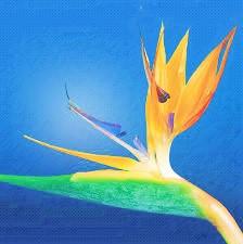 மன்னவன் வருவானோ? cover