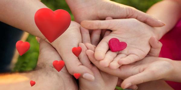 கருவில் முள் நீ cover