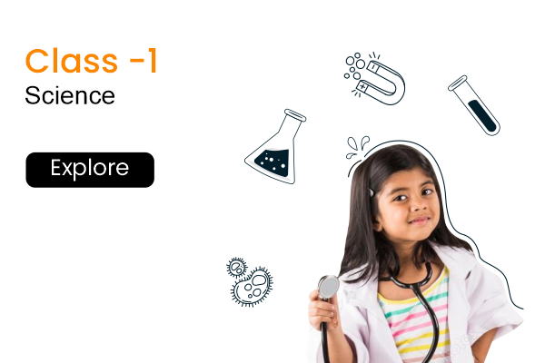 Class 1 | Science cover