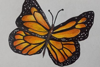 Recording - Fun with Color Pencils cover