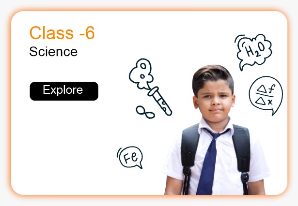 Class 6 | Science cover