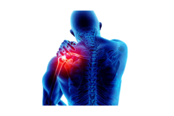 Assessment And Corrective Exercises For Shoulder cover