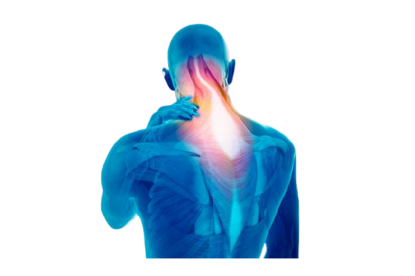 Assessment And Corrective Exercises For Neck cover