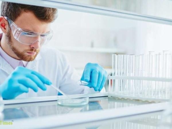 Offline Project Internship Program cover