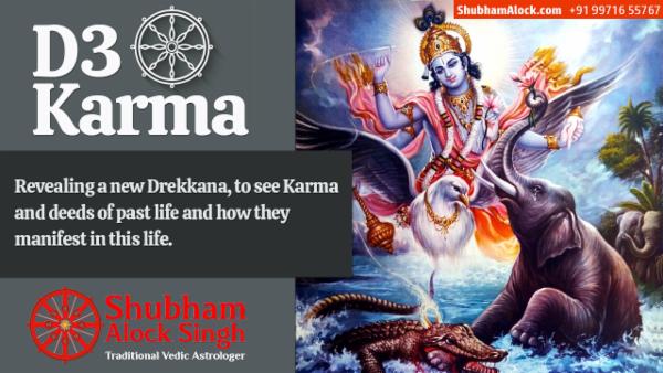 D3 Karma (Karma through Drekkana) cover