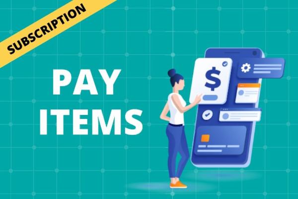 PAY ITEMS cover