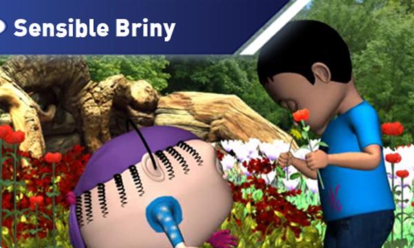 Sensible Briny cover