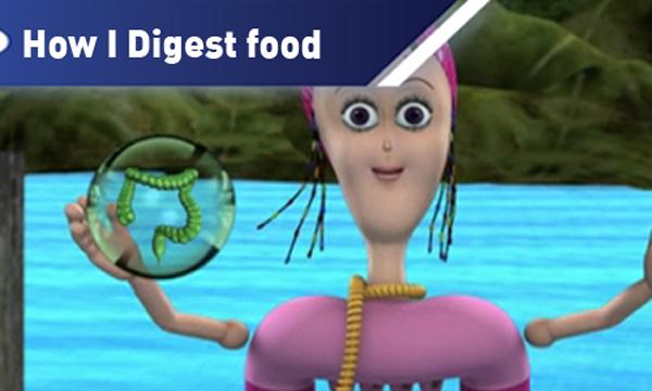 How I digest food cover