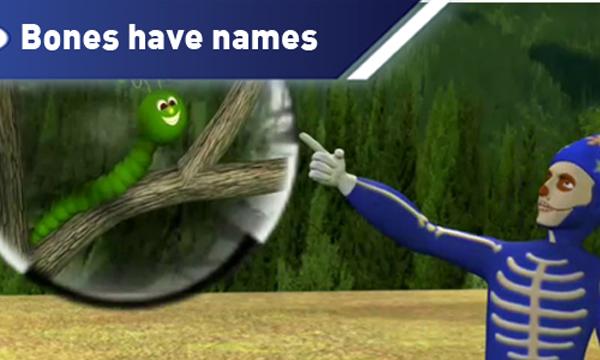 Bonnie my skeleton cover