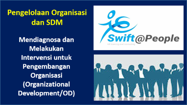 Mendiagnosa dan Melakukan Intervensi untuk Pengembangan Organisasi (Organizational Development/OD) cover
